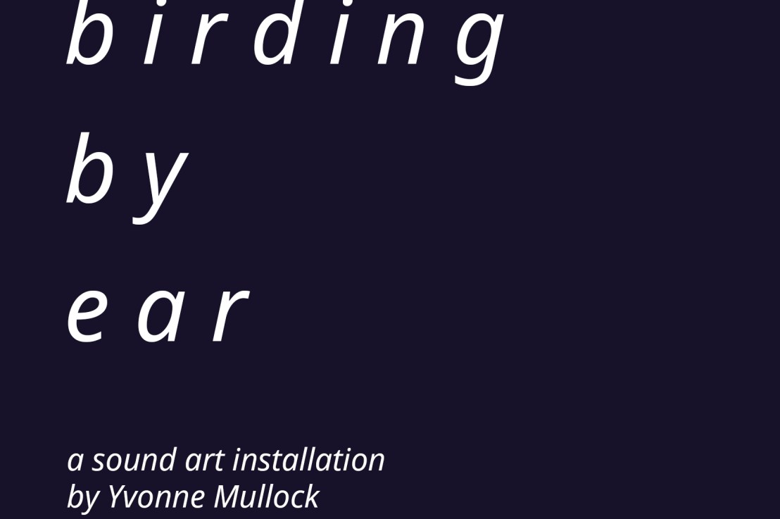 7th December 2022 – 25th January 2023: birding by ear